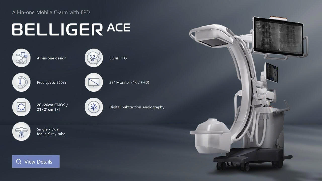 BELLIGGER ACE