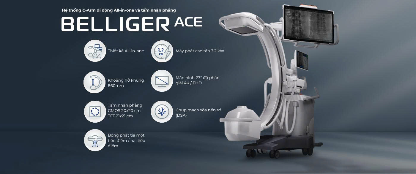 BELLIGGER ACE